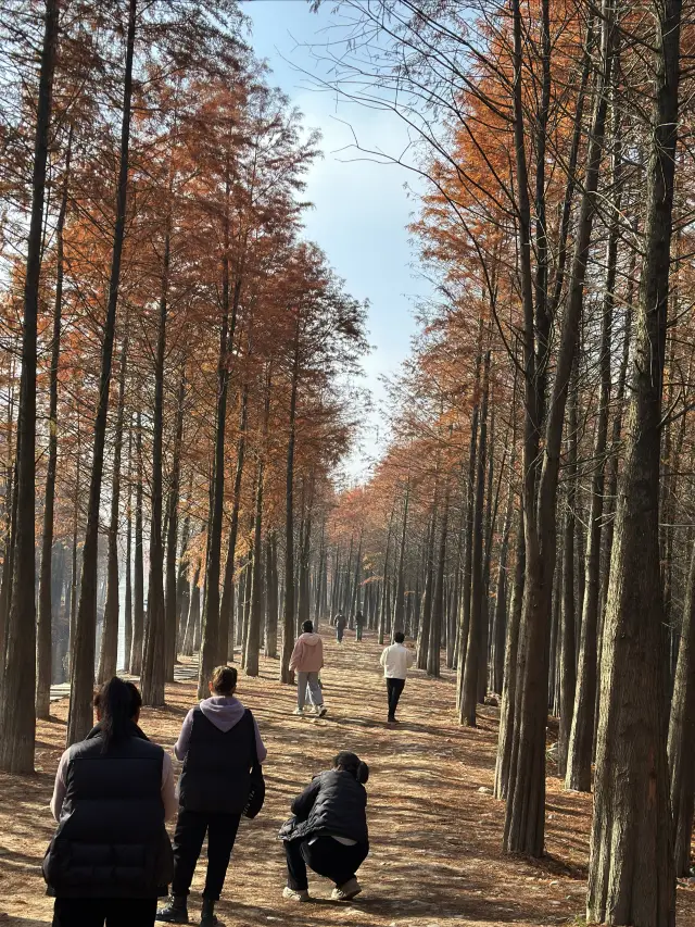 皖南川藏線此生必駕