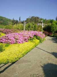 曲靖滨河公園——風景美如畫，散步遛娃好去處！