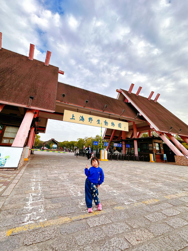 上海野生動物園一日遊超詳細攻略，碼