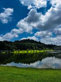 東莞周邊打卡·東莞植物園