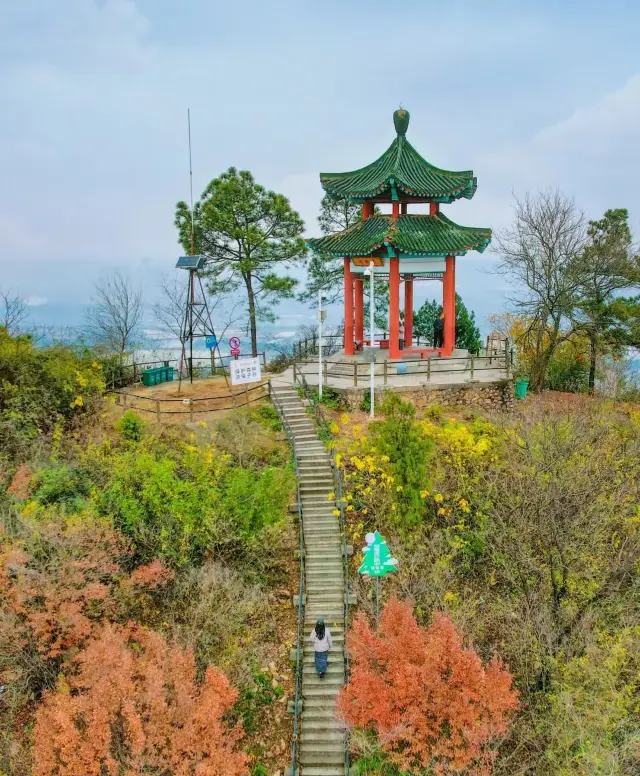 부산에서 가장 치유적인 산책로를 걸어보세요, 고찰에서 기도하는 코스입니다