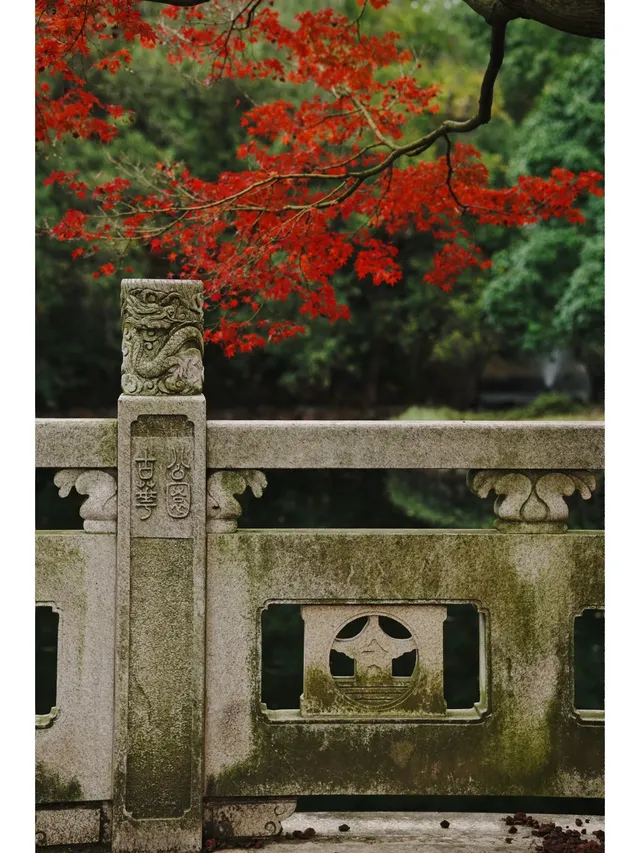 古華園 | 上海你不宣傳這裡你糊塗啊