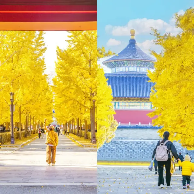 รายการสถานที่ท่องเที่ยวโรแมนติกในปักกิ่งในฤดูใบไม้ร่วง