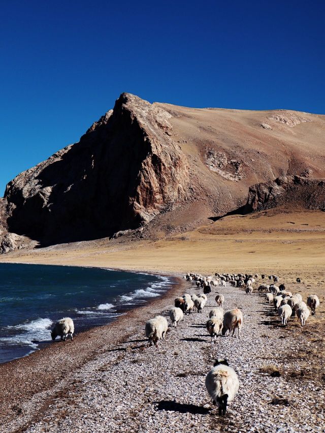 西藏色林措｜西藏第一大魔鬼湖