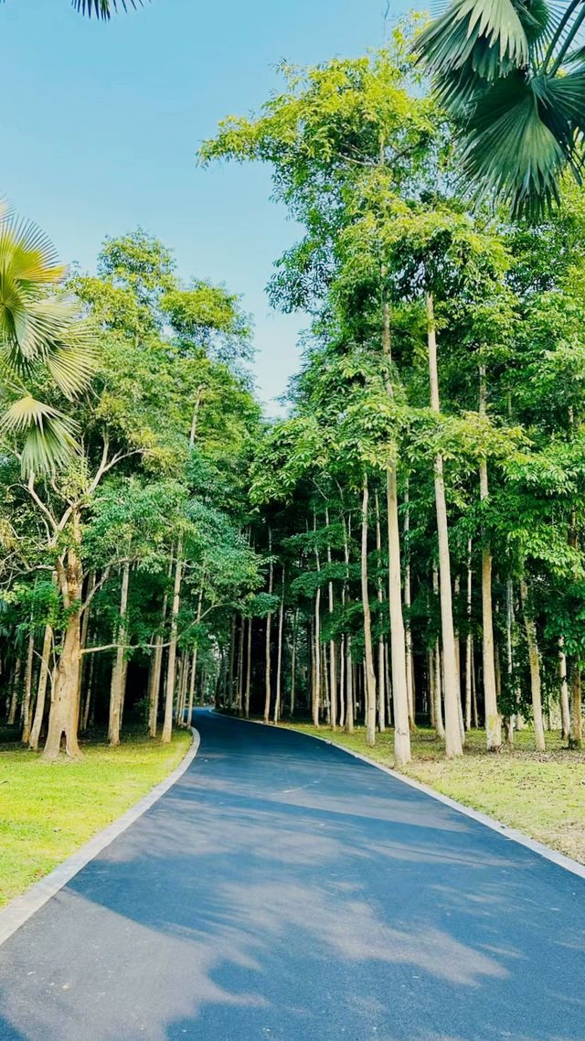 西雙版納傣族自治州•中科院植物園