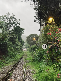 十分雨中漫遊，雨季的浪漫之旅 ☔🏮