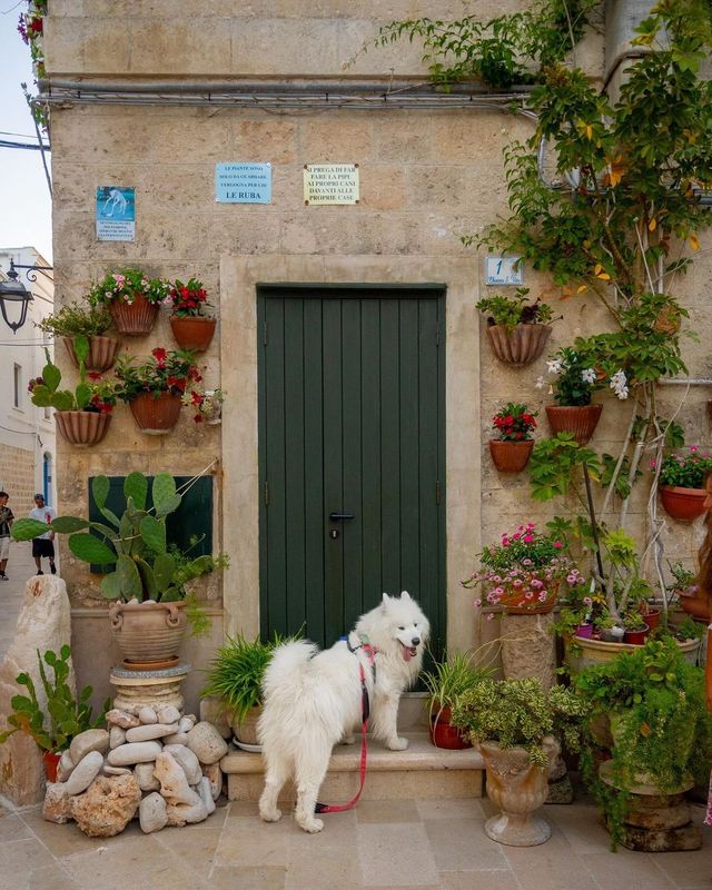 5 THINGS YOU MUST KNOW ABOUT PUGLIA 🌊☀️