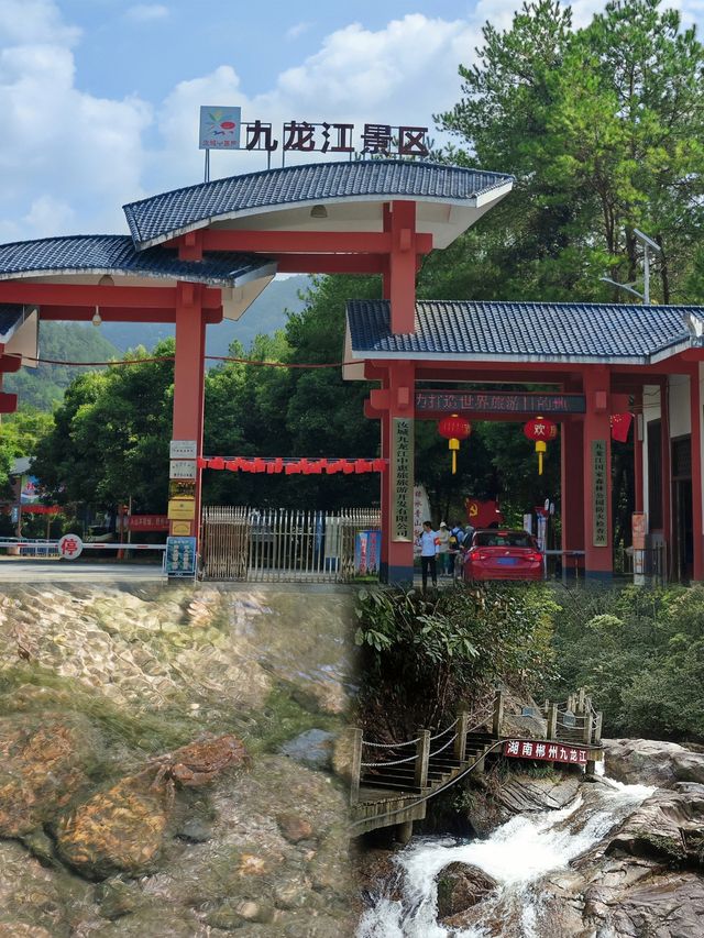 湖南周邊遊！九龍江國家森林公園踏青攻略