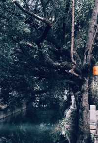 比起三坊七巷我更喜歡這個傳統歷史街區