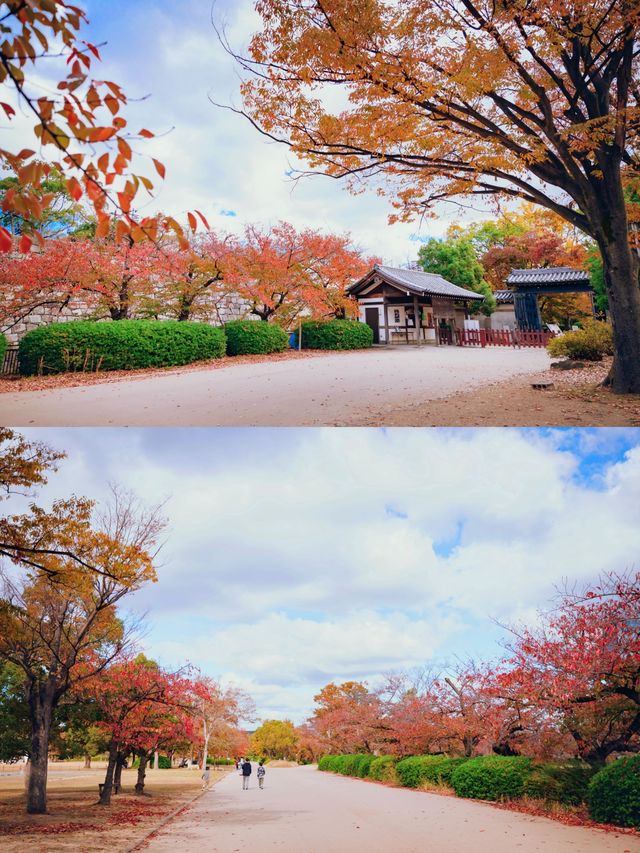 全球追秋|大阪城公園的五彩秋天