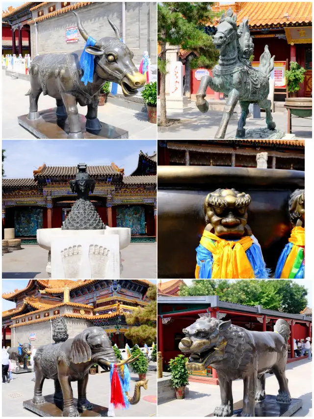 Hohhot Dazhao Wuliang Temple Travel Guide