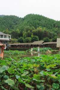 如果你來景德鎮，一定不要錯過三寶村