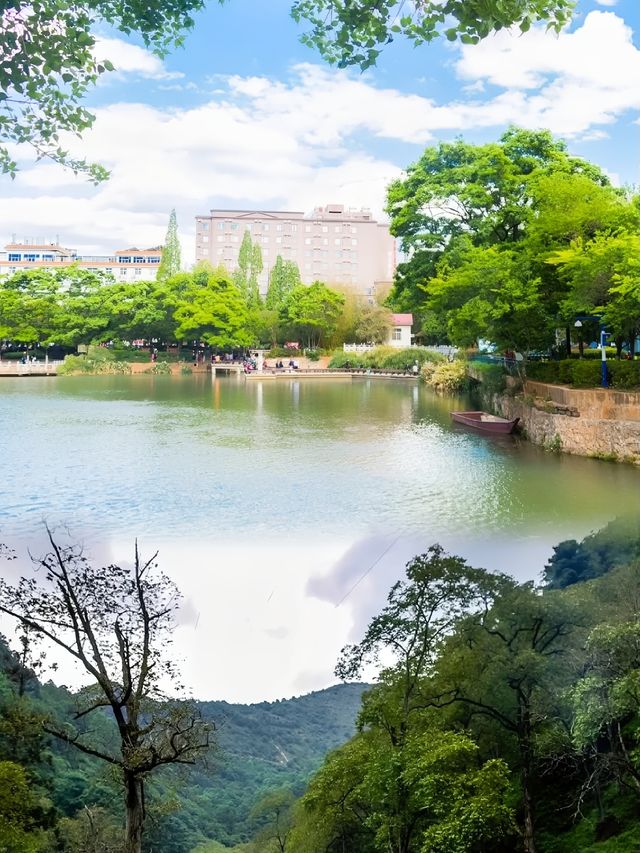 翠湖公園｜昆明市小眾旅遊景點