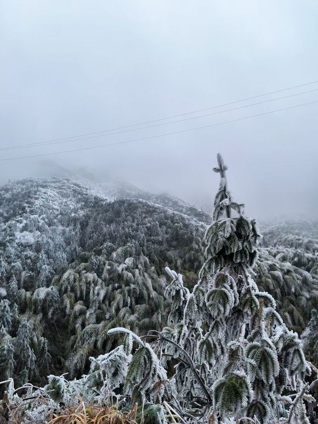 雲冰山