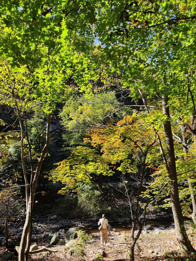 十一遊本溪-第一站關門山國家森林公園