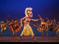 《獅子王》百老匯：與辛巴共舞紐約的星辰