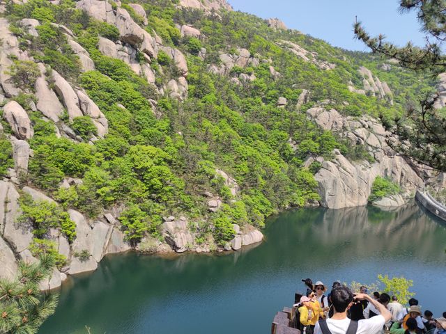 泰山雖雲高，不如東海嶗