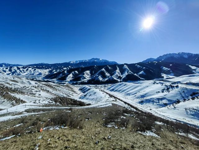 不在外國 這就是新疆南山 再不來就後悔了
