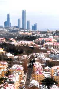 雪後的信號山公園究竟有多好拍
