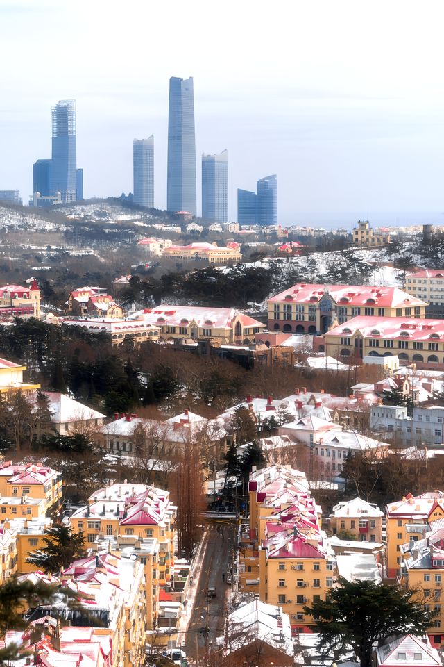 雪後的信號山公園究竟有多好拍