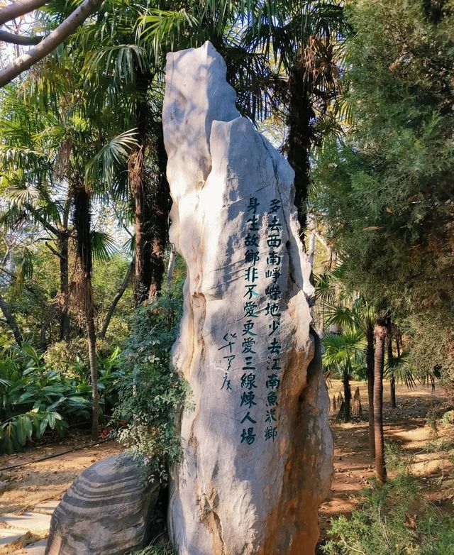 攀枝花公園步道徒步