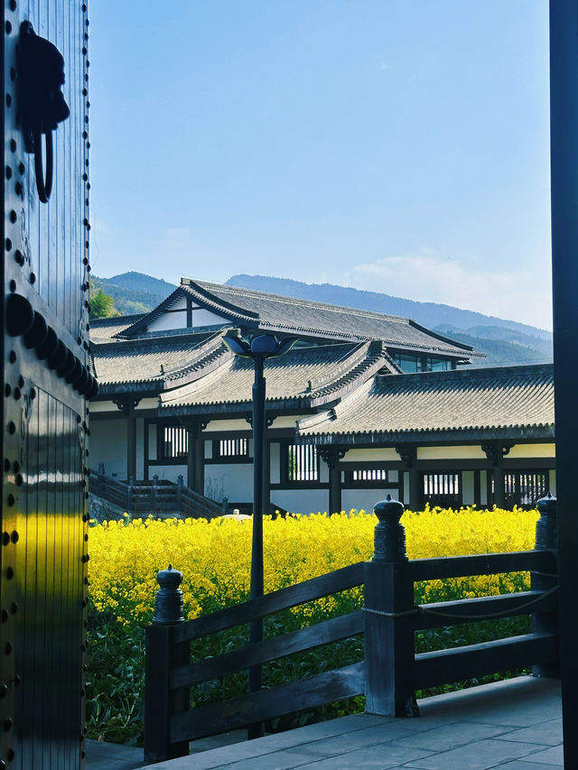 柳江光明寺｜四川最美的油菜花