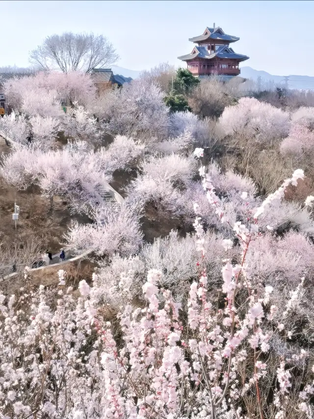 北京園博園