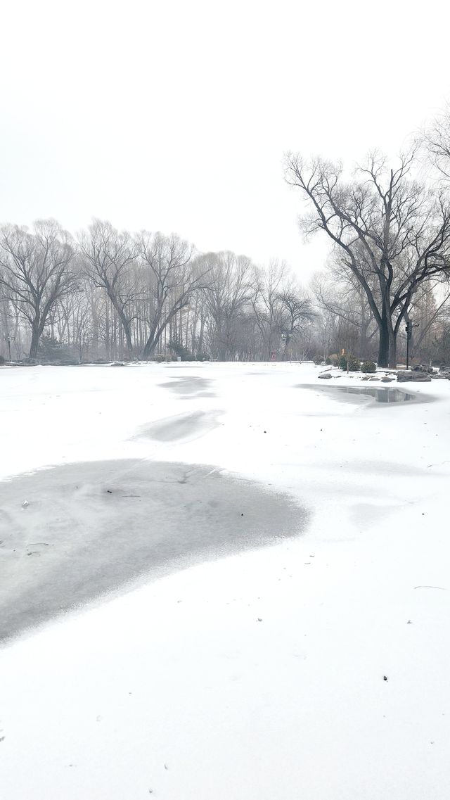 雪中晉祠的小確幸