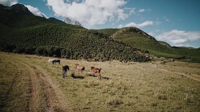 麗江小眾景點|玉湖，據說是最後一片淨土