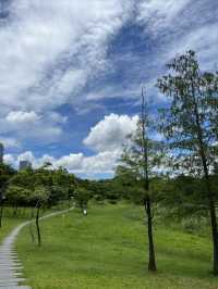 深圳市中心公園【城市公園天花板！】