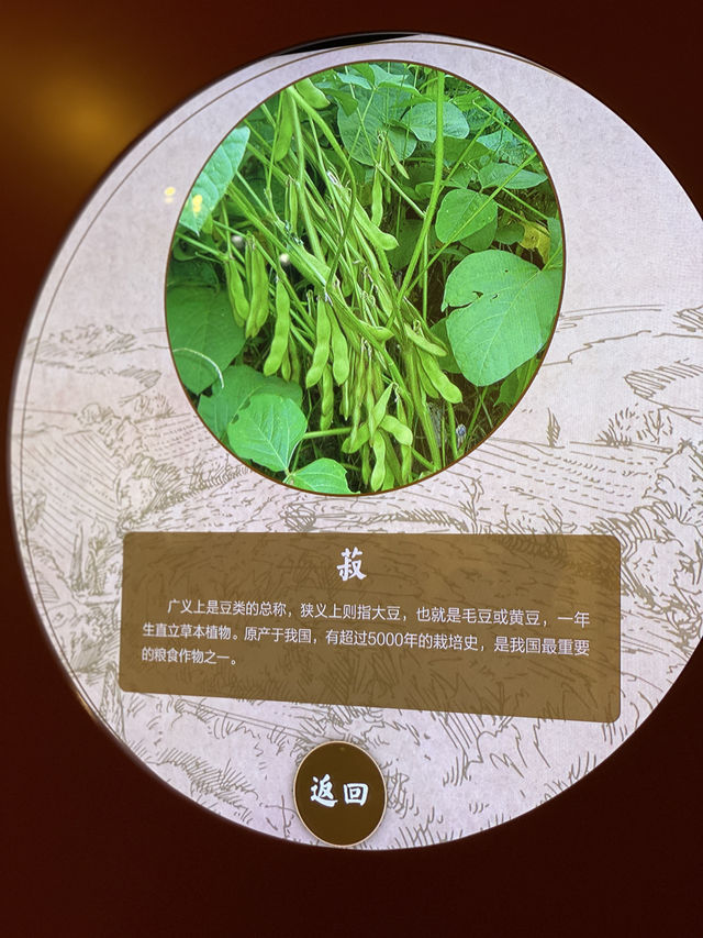 北京週末遛娃｜去先農壇認清五穀雜糧吧