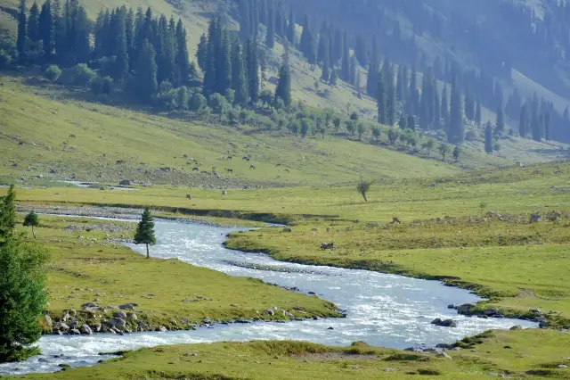 Comparable to little Switzerland, have you ever been to Yili, Xinjiang?