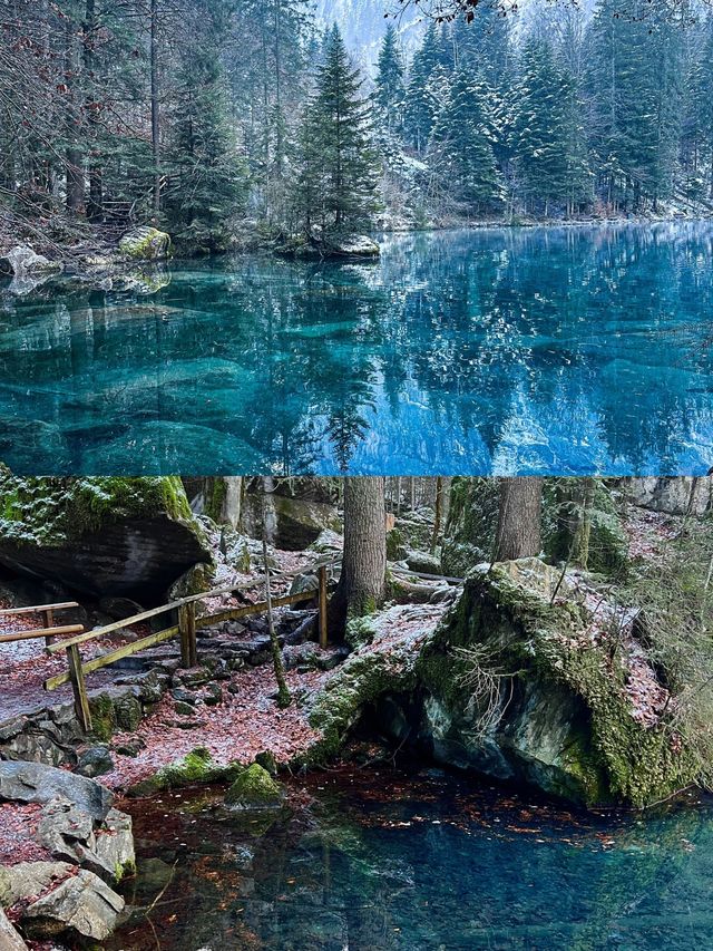 瑞士藍湖Blausee｜每個人心中的藍寶石