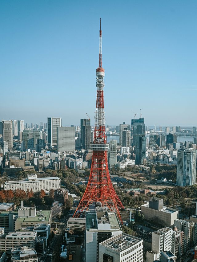 來東京麻布台hills必知的5件事！