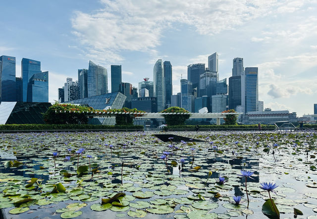 新加坡漫步拍金沙