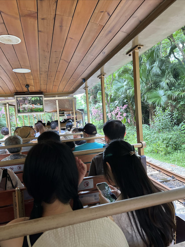 假裝度假在歐洲 ｜ 深圳東部華僑城小火車