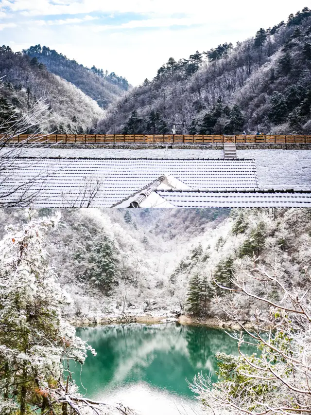 家人們，發現一個超好玩滑雪場杭州大明山