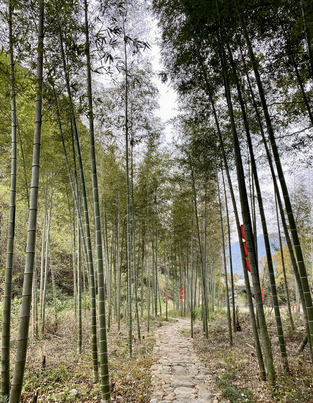 歷溪古村「戲水、喝茶、聽故事」