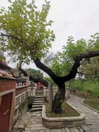 「此地古稱佛國，滿街都是聖人」，泉州名片：開元寺