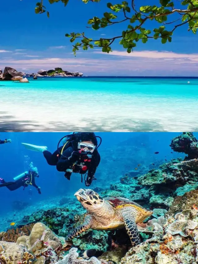 Where to Travel for May Day | Similan Islands, Thailand | 5 Days and 4 Nights