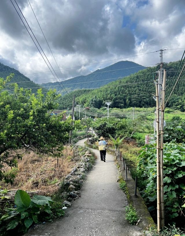 深圳周邊遊可以吃美食露營燒烤的古村落