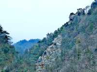 庐山西麓
