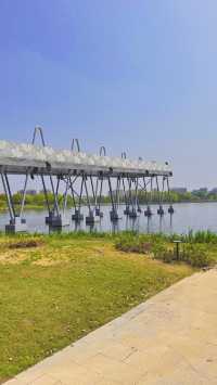 魔都西區的都市森林遠香湖公園