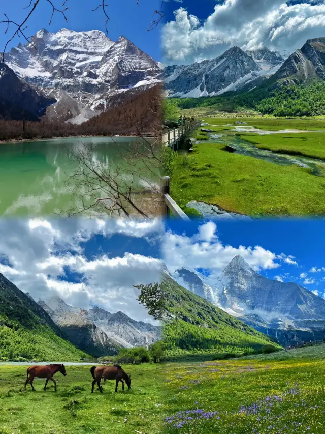 Daocheng Yading | It is expected to be the top trend in Western Sichuan this year! So beautiful it leaves you speechless