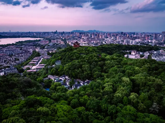 You don't have to go to Yunnan; there's a rainforest haven right in the center of Hangzhou