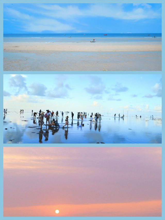 北海紅樹林必去趕海攻略：潮起潮落間的親子樂趣