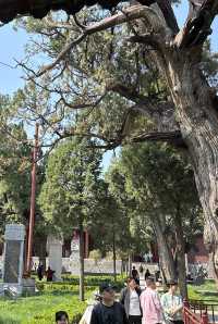 嵩山腳下紫金城——中嶽廟