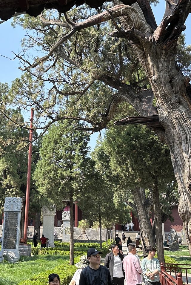 嵩山腳下紫金城——中嶽廟
