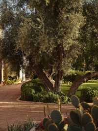🌟 Marrakech Magic: La Mamounia's Luxe Escape 🌴