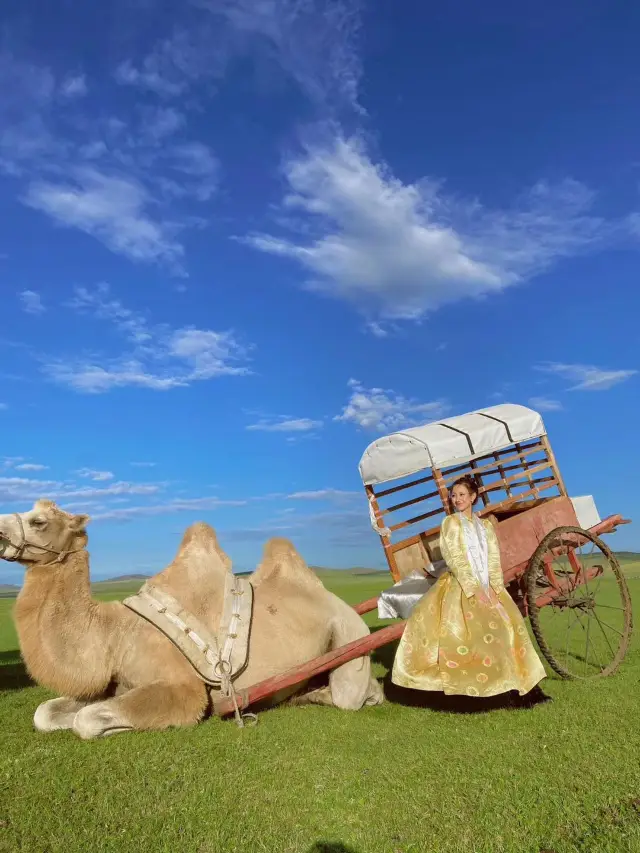 후룬베이얼 대초원 유목민족.